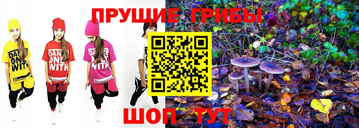 Псилоцибиновые грибы мицелий  Псилоцибиновые грибы ЛСД  Вход с VPN  Благодарный 